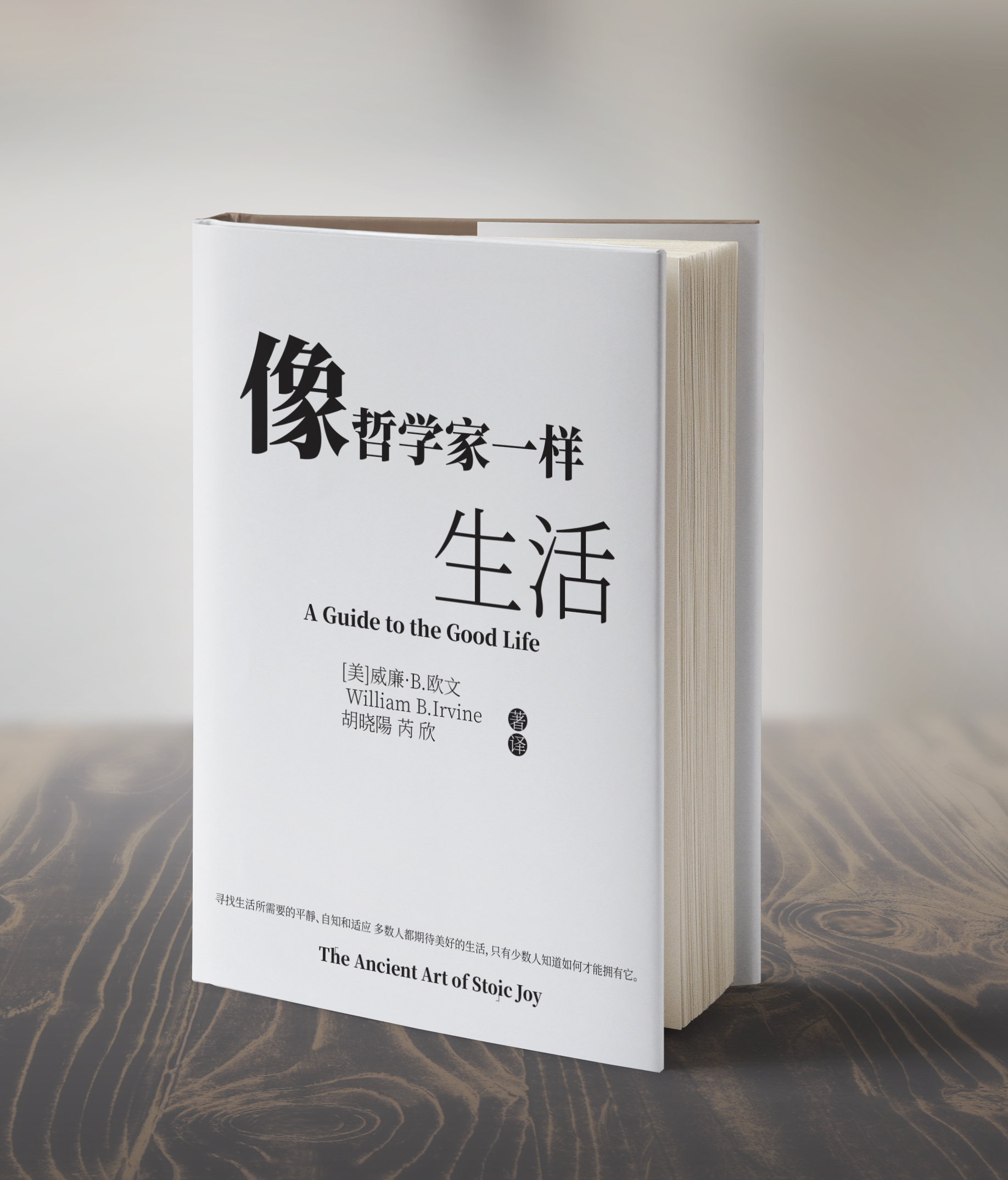 像哲学家一样生活 书籍装帧 极简文字版